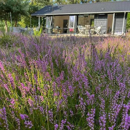 Cozy Summer House In Peaceful Nature Near Rorvig Nykøbing Sjælland
