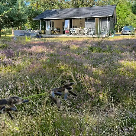 Cozy Summer House In Peaceful Nature Near Rorvig