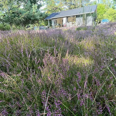 Cozy Summer House In Peaceful Nature Near Rorvig